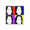 Lienzo Dana Joe Warhol
